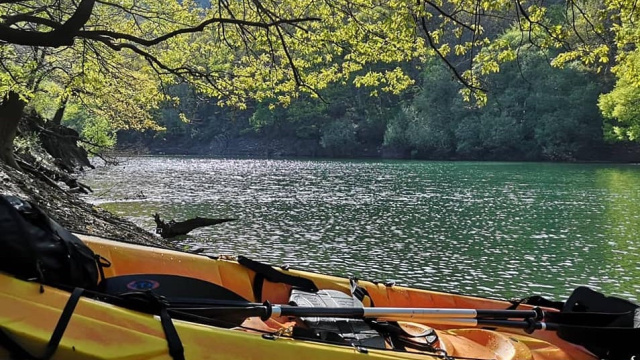 Kayak